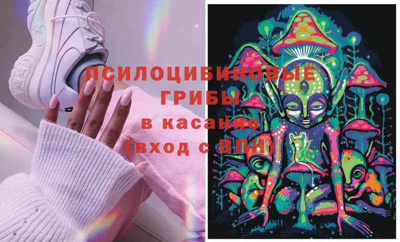 Галлюциногенные грибы Magic Shrooms  Покачи 